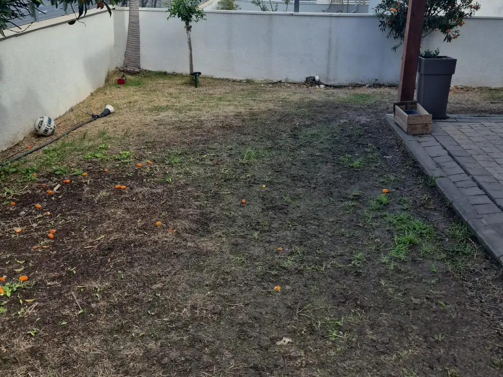 החצר לפני: דשא יבש ואדמה חשופה